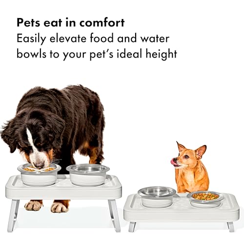 OXO Pet Adjustable Elevated Feeder - style: Elevated Feeder