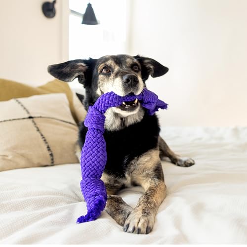 Playology Rope Dog Toys for Large Senior Dogs - Jumbo, Pork Sausage Scent - size: Jumbo Rope, style: Pork Sausage