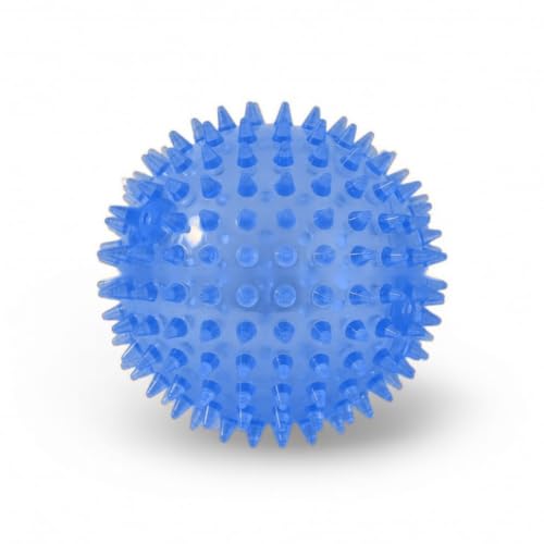 Squeaky Spiky Dog Ball for Teeth Cleaning & Gum Massage 2.5 Inch Small Medium Dogs Blue | Spiny TPR Rubber Chew Toy for Fetch Play Interactive Bouncy Dental Ball Durable BPA Free Nontoxic Floats - size: Blue Ball 1-Pack