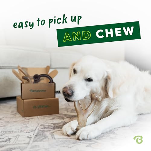 Benebone Blueberry Large 4-Pack Dog Toys, Under 90 lbs - size: Large, style: Limited Edition 4 Pack