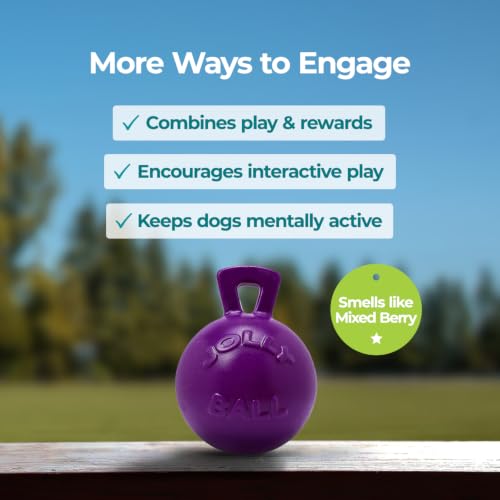 Jolly Pets Tug-n-Toss Heavy Duty Dog Toy Ball with Handle, 8 Inches/Large, Purple - color: Purple, size: Large (8 in)