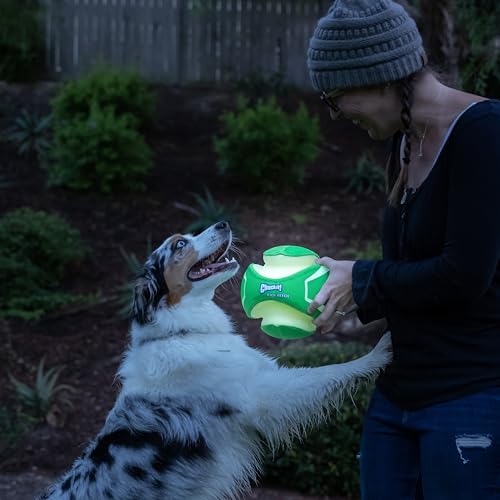 Chuckit! Kick Fetch Max Glow Ball, Large (8 Inch) Glow in the Dark Dog Toy - size: Large, style: Max Glow