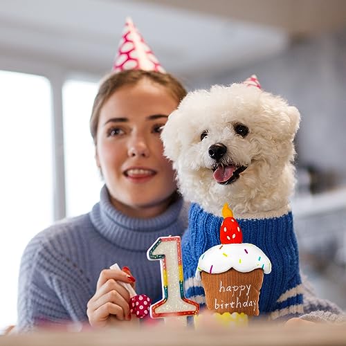 Dog Birthday Toy, Squeaky Birthday Cake Gift for Small Medium Dogs - style: Birthday Cake