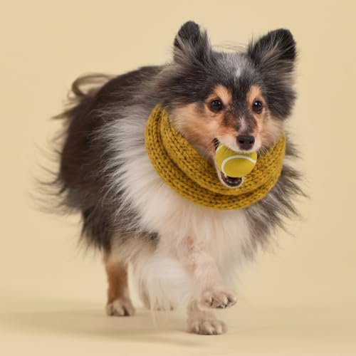 Playology Squeaky Chew Ball Dog Toy - Small, Apple Cider Scent, 3-Pack - size: Small (VALUE 3-Pack), style: Apple Cider