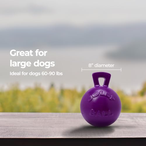 Jolly Pets Tug-n-Toss Heavy Duty Dog Toy Ball with Handle, 8 Inches/Large, Purple - color: Purple, size: Large (8 in)
