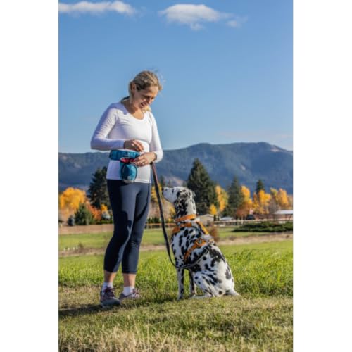 Kurgo Go Stuff It Dog Treat Bag, Coastal Blue - color: Coastal Blue, style: Belt Clip, Old Carabiner