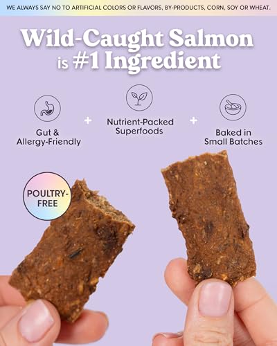 Bundle x Joy Salmon Jerky Training Treats, Wild Caught, Poultry Free, 2 lb - size: 32 Ounce (Pack of 1)