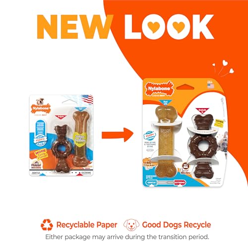 Nylabone Puppy Chew Teething Bone and Ring Bone Dog Chew Toys, 2 Count - color: Ring Bone & Teething Bone, size: X-Small