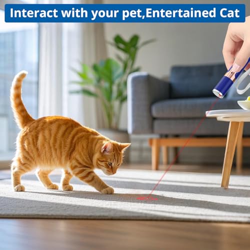 TBTeek Cat Toys, with Metal Case, 2 Pieces, Rechargeable (Blue) - color: Blue