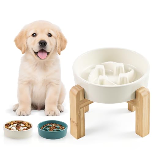 6.3” Elevated Slow Feeder Dog Bowls,Ceramic Slow Feeder Dog Bowl with Stand - color: White-M