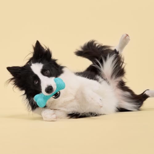 Playology Dual Layer Bone Dog Chew Toy - Jumbo, Peanut Butter Scent - size: Jumbo, style: Peanut Butter