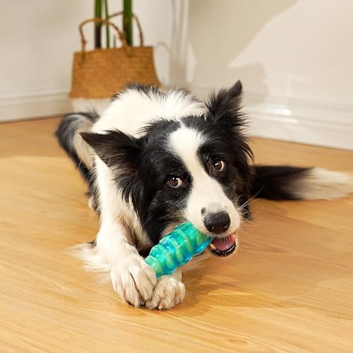 MewaJump Dog Chew Toys for Aggressive Chewers, Tough Dog Toy Medium Breeds - color: jelly fish