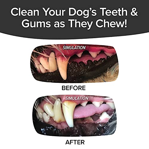 BulbHead Bonanza Bone Toothbrush, Infused with Real Bacon Flavor – Dogs Brush Chewing, Plaque and Tartar Remover for Teeth, Works 3 Ways to Clean While They Play, 8 in. x 2 in, Red - color: Brush Bone Bacon, size: 1 Count (Pack of 1)
