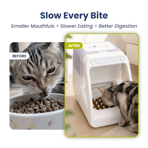Silicone Slow Feed Insert for PawsPik RFID Pet Feeder, 2-Pack
