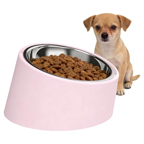15° Tilted Slow Feeder- Non-Spill & Non-Slip Stainless Steel Dish for Small & Cats - color: Pink, size: M