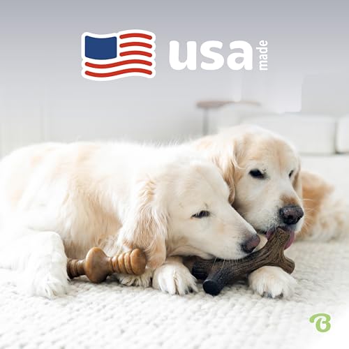 Benebone 2-Pack Maplestick/Zaggler Durable Dog Chew Toys, Dog Bones, Large - size: Large, style: Maplestick/Zaggler