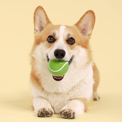 Playology Squeaky Chew Ball Dog Toy - Medium, Sweet Potato Scent - size: Medium, style: Sweet Potato