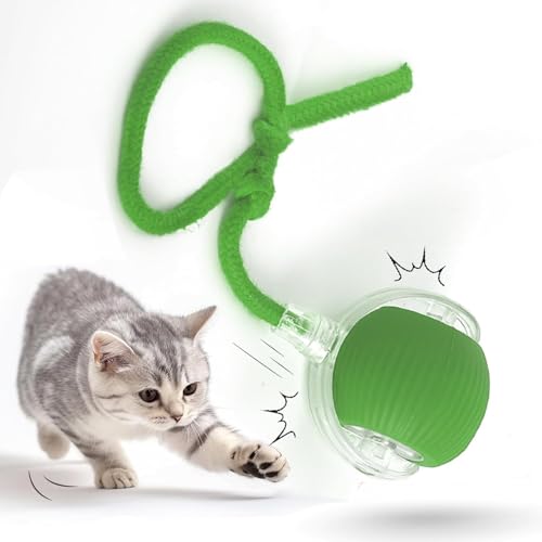Interactive Cat Ball Toy with Rope, Self-Rolling Motion Ball for Indoor Cats