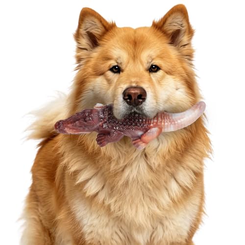 Durable Nylon Dog Toy for Aggressive Chewers - Interactive Nylon Chew Set with Massage Bumps | Tough Dog Toys for Teething Puppies & Large Breeds (Crocodile) - color: Crocodile