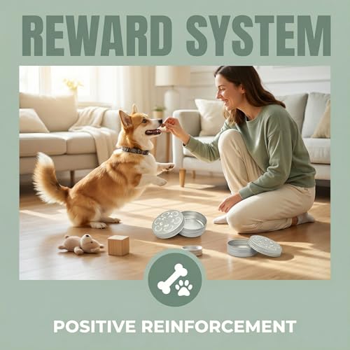 6 Packs Dog Scent Training Kit Nosework Containers for Dogs Aluminum Boxes Nose Skent Work Tins Supplies Canine Odor Ideal and Skill Development