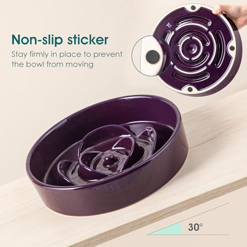 vancasso Slow Feeder Dog Bowl, 3 Cups Ceramic Puzzle Dish for Large Breed - color: Dark Purple, size: L - 3 Cups