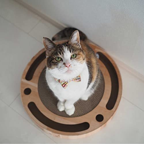 Interactive Track Ball Cat Scratcher