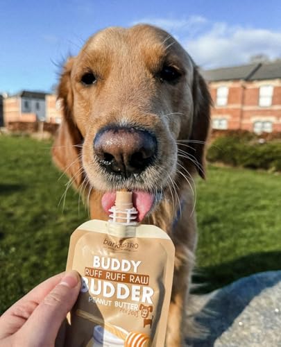 BUDDY BUDDER 6 Pack Mixed Flavor Squeeze Packs, 100% Natural Dog Peanut Butter, Healthy Peanut Butter Dog Treats, Made in USA, (4oz Packs) - size: 4 Ounce (Pack of 1)