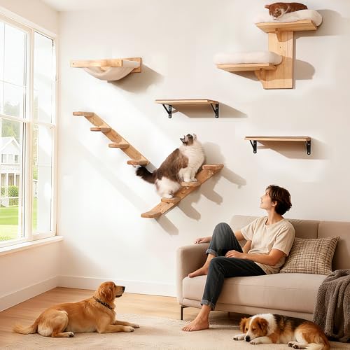 FUKUMARU Cat Climbing Shelf Wall Mounted, Large - size: Large - Bidirectional