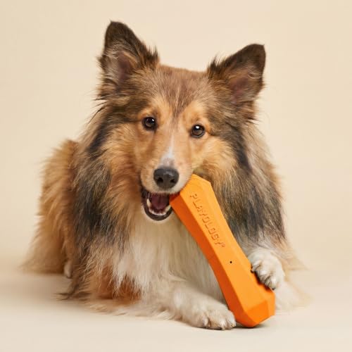 Playology Squeaky Chew Stick - Scented Dog Toy - Medium, Cheddar Scent - size: Medium, style: Cheddar Cheese
