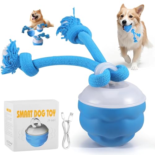The Chase Buddy Dog Boredom Stimulating Toy 2025 Smart Pet Puppy Ball with Ropes Interactive Self Play Moving Dogs Balls Automatic Electric Active Rolling Ball Jumping Bouncing Dog Balls Gift (Blue) - color: Blue