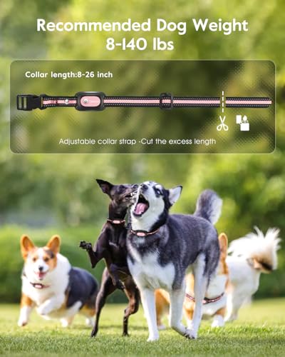 SLOPEHILL Dog Shock Collar,4200FT Dog Training Collar with Remote,Pink - color: Pink