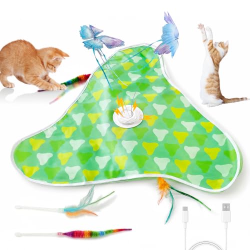 Interactive Cat Toy, Hide and Seek with Feather & Butterfly for Indoor Cats