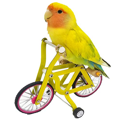 QBLEEV Bird Intelligence Training Toy - Parrot Puzzle Bicycle for Birds - color: Small Bicycle Toy