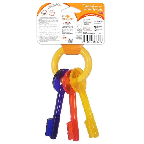 Nylabone Puppy Chew Teething Key Ring Dog Chew Toy, Bacon Flavor, Small - size: Small