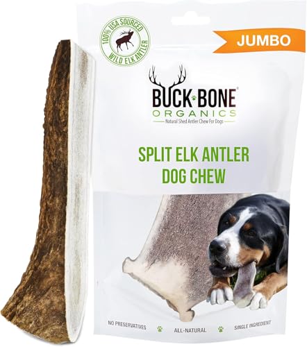 Buck Bone Organics Dog Chews, Elk Antlers for Dogs, Long Lasting Dog Bones for Aggressive Chewers, All Natural, No Preservatives, Wild Shed in the USA (Jumbo) - size: Jumbo, style: 1 Pack