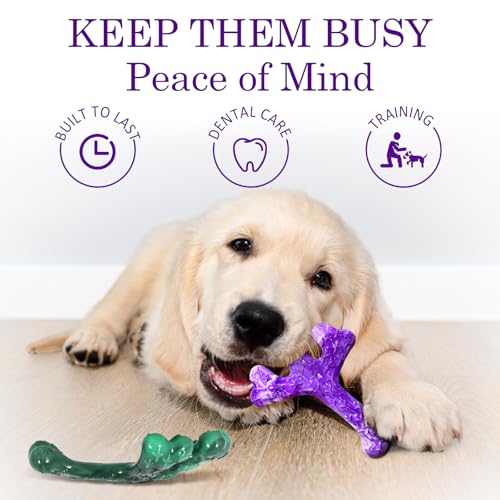 Frienhund 4 Pack (Cactus) Indestructible Tough Dog Toys for Aggressive Chewers: Beef Flavored Chew Bone for Large Dogs 20-90 lbs, Long Lasting & Keep Them Busy - color: Purple & Green