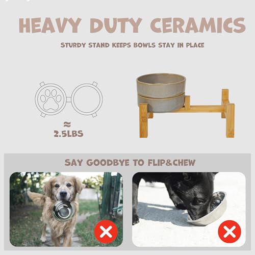 Elevated Ceramic Dog Bowls Set, Slow Feeder with Stand