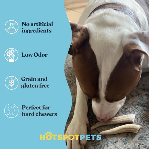 hotspot pets Small Premium Deer Antler for Dogs (3 Pack) - 4-7 Inch Long Lasting Antler Dog Chews Naturally Shed Deer Antlers Bone for Small & Medium Breed Aggressive Chewers - Sourced in USA - size: 3 Count (Pack of 1)