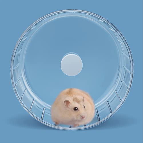 BUCATSTATE Hamster Wheel Silent, 5.5in Exercise Running Whees Quiet Spinner Mouse Wheels for Gerbil Dwarf Syrian Hamster Rat Mice - size: 5.5inch