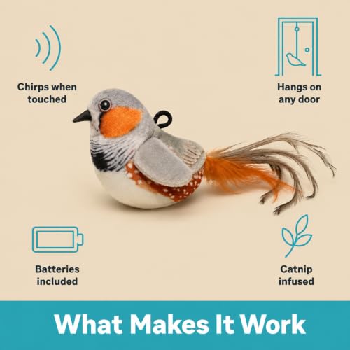 Hanging Bird Cat Toy for Indoor Cats, Motion Activated Chirping with Catnip