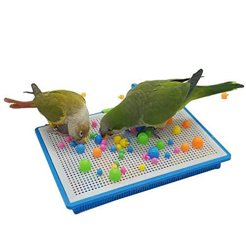 QBLEEV Parrot Puzzle Toys - Bird Intelligence Training, Parakeet & Conure Cage Accessories, Cockatiel Foraging & Chewing Toys - color: Mushroom Toy