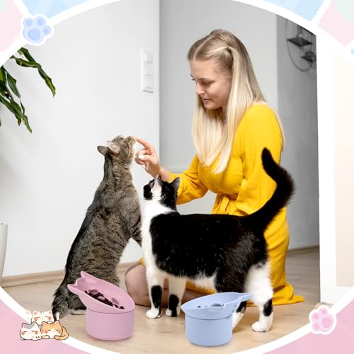 Funnymoom 2 Pack Silicone Cat Slow Feeder, Elevated Slow Feeder Cat Bowl for Dry and Wet Food, Tilted Design with Non Slip Base, Adjustable Angle for Pet(Pink and Blue) - color: Pink and Blue