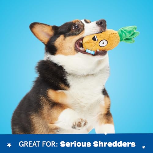 BarkBox Penny The Pineapple 2-in-1 Interactive Plush Dog Toy - color: Penny the Pineapple - Small