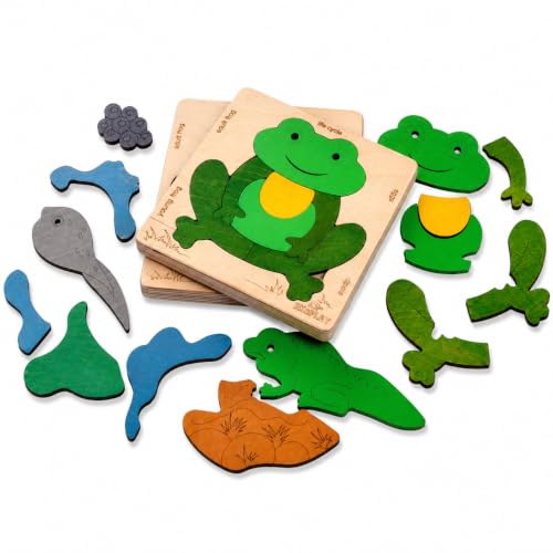 Life Cycle of a Frog 15 Piece Wooden Multilayered Jigsaw Puzzles for Kids Educational Toy and Gift for Boys & Girls 3 Years and Above - style: Lifecycle of a Frog