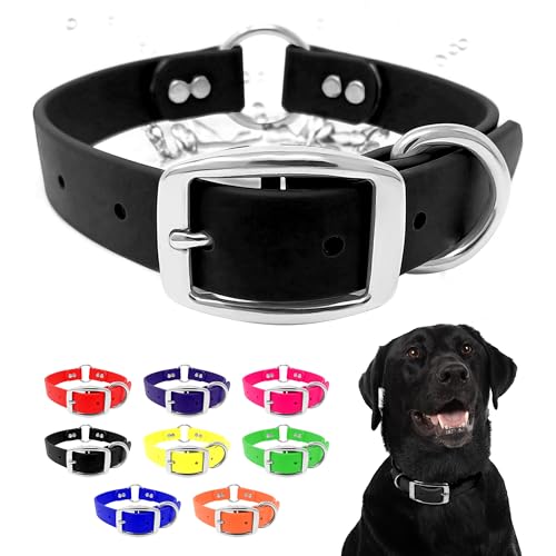 Regal Dog Products Waterproof Dog Collar, Nickel Double Buckle, Large Black - color: Black, size: Large