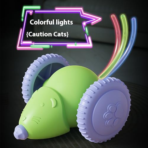 Interactive Cat Toys for Indoor Cats,Automatic Moving Kitten Toys,Cat Balls - color: Green