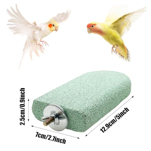 Pet Teeth Grinding Stone and Perch, Bird Perch Stands, Natural Chewing Toys for Small Medium Birds Budgies Conures Cockatiels Rats (4 Colores, Big) - color: 4 Colores, size: Big