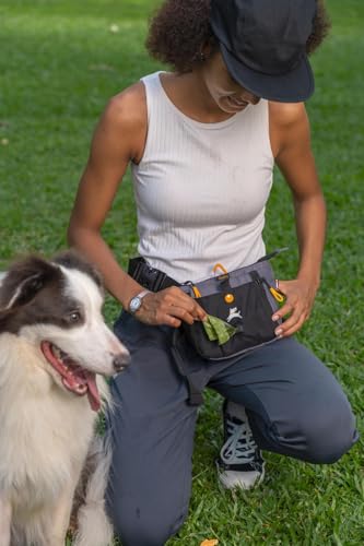 OllyDog Backcountry Day Bag | Dog Training Treat Pouch | Eco-Friendly Recycled Fabric Fanny Pack with Zipper Closure, Built-in Poop Bag Dispenser & Adjustable Waist Belt (Castle Rock) - color: Castle Rock