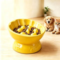 Ceramic Slow Feeder Cat Bowl, Elevated Tilted Design, Yellow - color: yellow