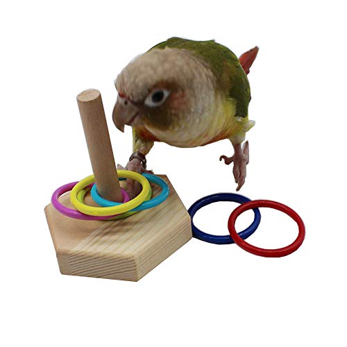 QBLEEV Bird Tabletop Toy, Parrot Activity & Training Trick Color Ring Toys - color: Color Circle A